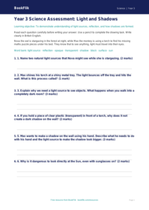 Free Light Assessment | Year 3 Science Worksheet | BookFlik