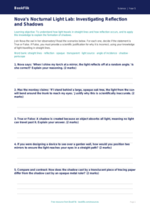 Free Light Activity Sheet | Year 5 Greater Depth | BookFlik