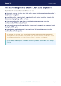 Free Living Things Poster | Year 5 Greater Depth | BookFlik