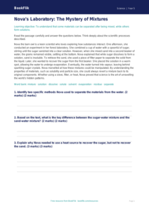 Free Mixtures Comprehension | Year 5 Greater Depth | BookFlik