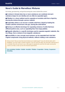 Free Mixtures Poster | Year 5 Greater Depth | BookFlik