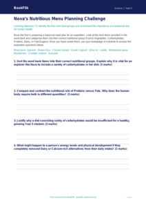 Free Nutrition Activity Sheet | Year 5 Greater Depth | BookFlik