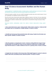 Free Nutrition Assessment | Year 5 Greater Depth | BookFlik