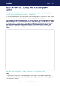 Free Nutrition Drawing Sheet | Year 5 Greater Depth | BookFlik