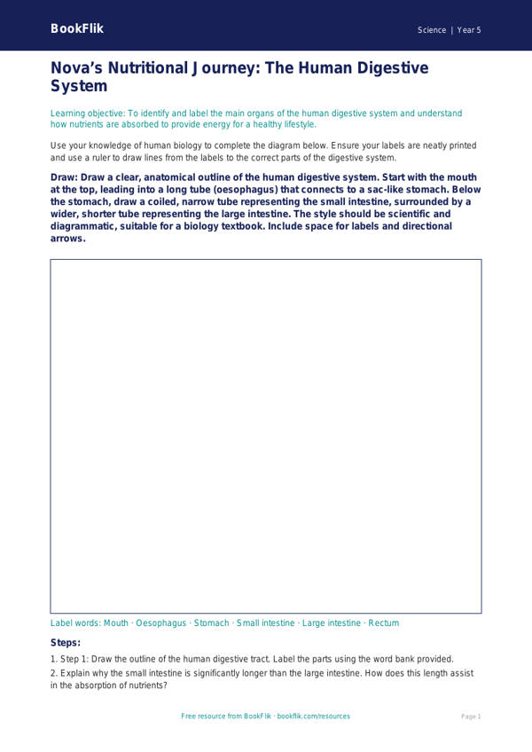 Free Nutrition Drawing Sheet | Year 5 Greater Depth | BookFlik worksheet preview — Science Nutrition