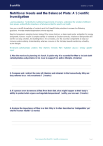 Free Nutrition Worksheet | Year 5 Greater Depth | BookFlik