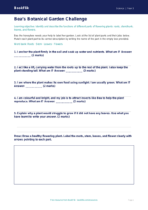 Free Plants Activity Sheet | Year 3 Core | BookFlik