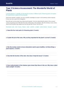 Free Plants Assessment | Year 3 Core | BookFlik
