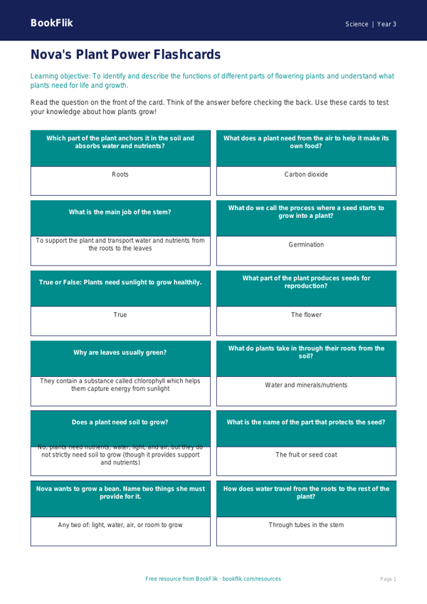 Free Plants Flashcards | Year 3 Core | BookFlik worksheet preview — Science Plants