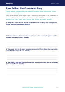 Free Plants Template | Year 3 Core | BookFlik