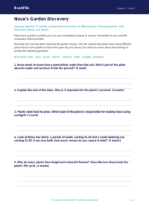 Free Plants Worksheet | Year 3 Science | BookFlik