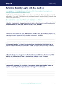 Free Plants Activity Sheet | Year 5 Greater Depth | BookFlik