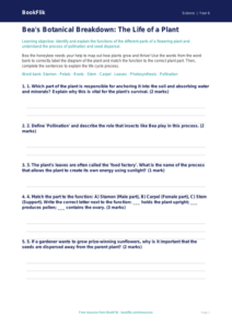Free Plants Activity Sheet | Year 6 Core | BookFlik