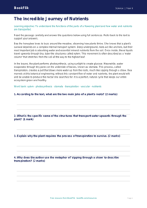 Free Plants Comprehension | Year 6 Core | BookFlik