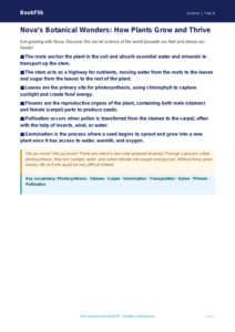 Free Plants Poster | Year 6 Core | BookFlik