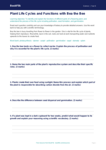 Free Plants Worksheet | Year 6 Core | BookFlik