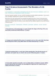 Free Reproduction Assessment | Year 5 Greater Depth | BookFlik