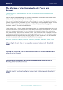 Free Reproduction Comprehension | Year 5 Greater Depth | BookFlik