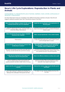 Free Reproduction Flashcards | Year 5 Greater Depth | BookFlik