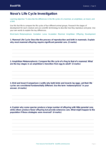 Free Reproduction Template | Year 5 Greater Depth | BookFlik