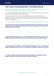 Free Reproduction Worksheet | Year 5 Greater Depth | BookFlik