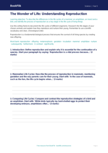 Free Reproduction Writing Frame | Year 5 Greater Depth | BookFlik