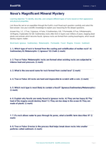 Free Rocks Quiz | Year 5 Greater Depth | BookFlik