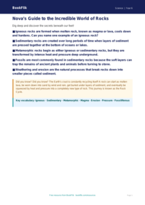 Free Rocks and Fossils Worksheet | Year 6 Science | BookFlik