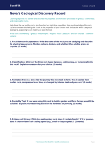 Free Rocks and Fossils Worksheet | Year 6 Science | BookFlik