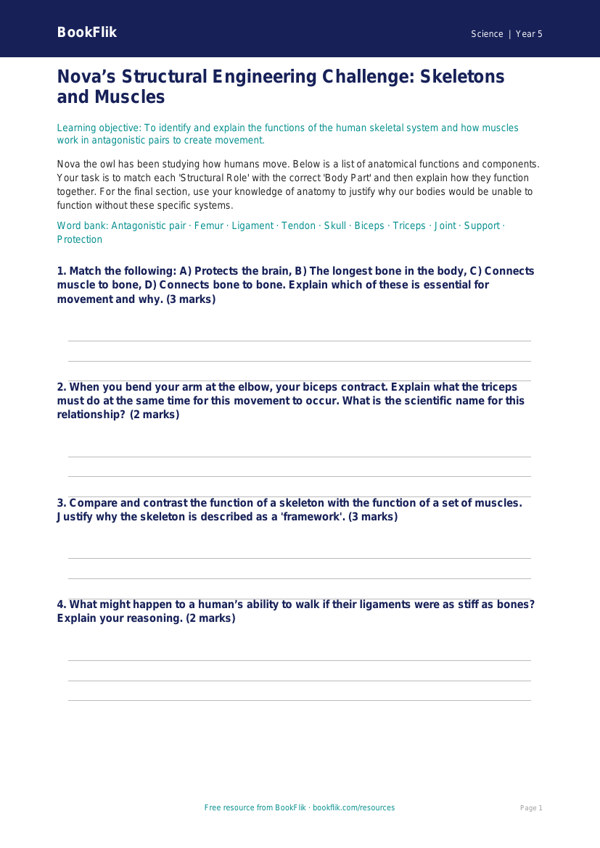 Free Skeleton And Muscles Activity Sheet | Year 5 Greater Depth | BookFlik worksheet preview — Science Skeleton And Muscles