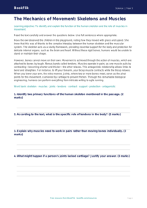 Free Skeleton And Muscles Comprehension | Year 5 Greater Depth | BookFlik