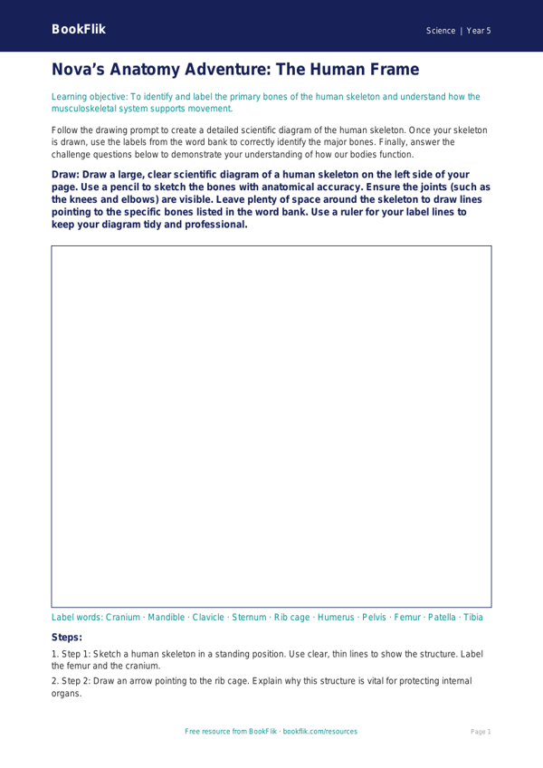 Free Skeleton And Muscles Drawing Sheet | Year 5 Greater Depth | BookFlik worksheet preview — Science Skeleton And Muscles