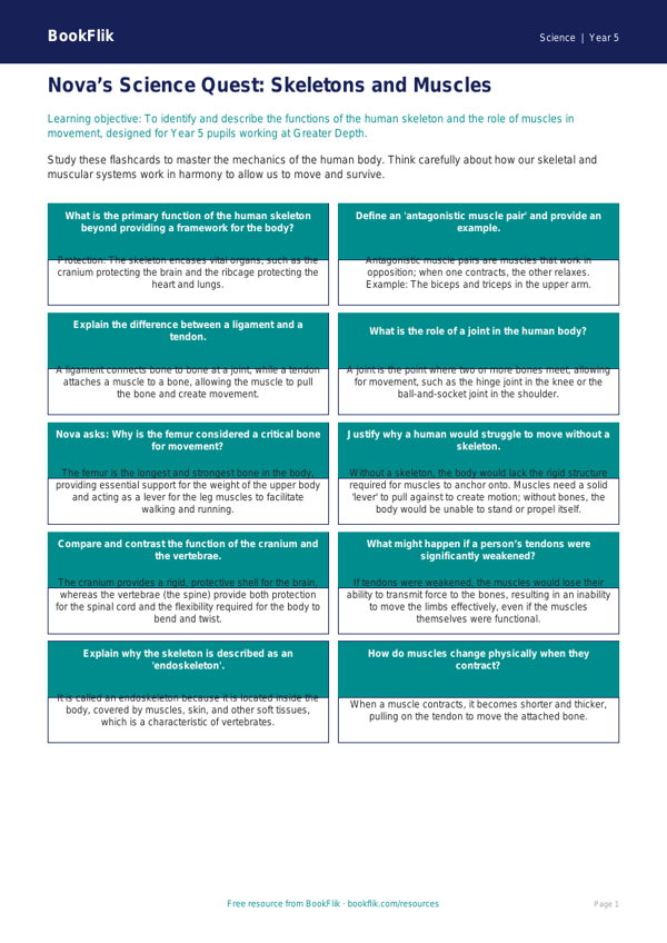 Free Skeleton And Muscles Flashcards | Year 5 Greater Depth | BookFlik worksheet preview — Science Skeleton And Muscles