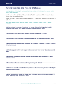 Free Skeleton And Muscles Quiz | Year 5 Greater Depth | BookFlik