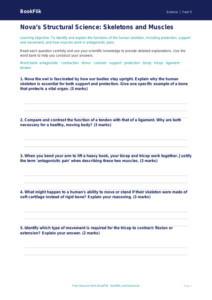 Free Skeleton And Muscles Worksheet | Year 5 Greater Depth | BookFlik