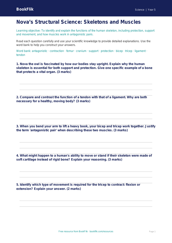 Free Skeleton And Muscles Worksheet | Year 5 Greater Depth | BookFlik worksheet preview — Science Skeleton And Muscles