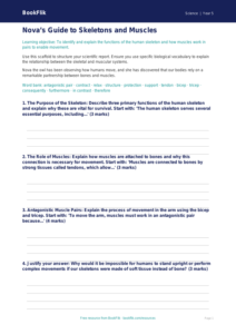 Free Skeleton And Muscles Writing Frame | Year 5 Greater Depth | BookFlik