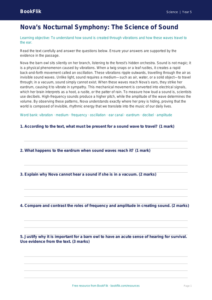 Free Sound Comprehension | Year 5 Greater Depth | BookFlik