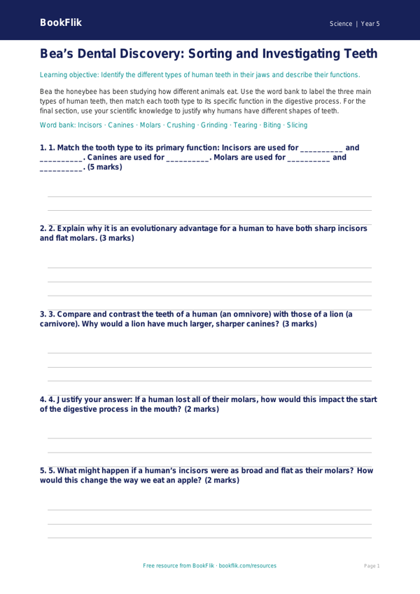Free Teeth Activity Sheet | Year 5 Greater Depth | BookFlik worksheet preview — Science Teeth