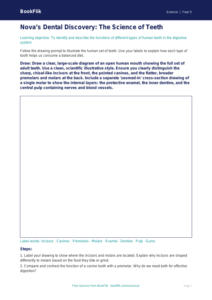 Free Teeth Drawing Sheet | Year 5 Greater Depth | BookFlik