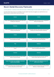 Free Teeth Flashcards | Year 5 Greater Depth | BookFlik