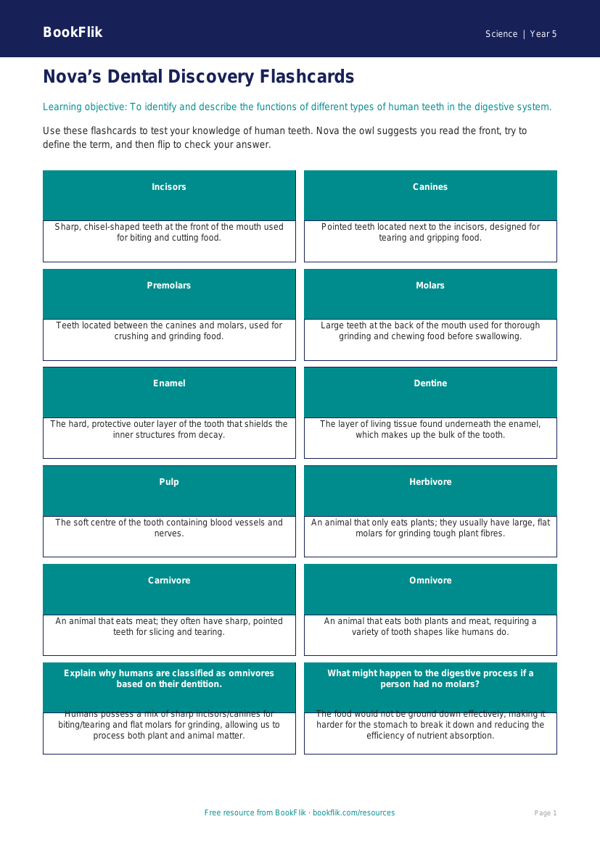 Free Teeth Flashcards | Year 5 Greater Depth | BookFlik worksheet preview — Science Teeth