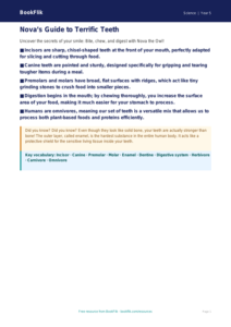 Free Teeth Poster | Year 5 Greater Depth | BookFlik