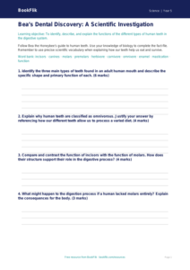 Free Teeth Template | Year 5 Greater Depth | BookFlik