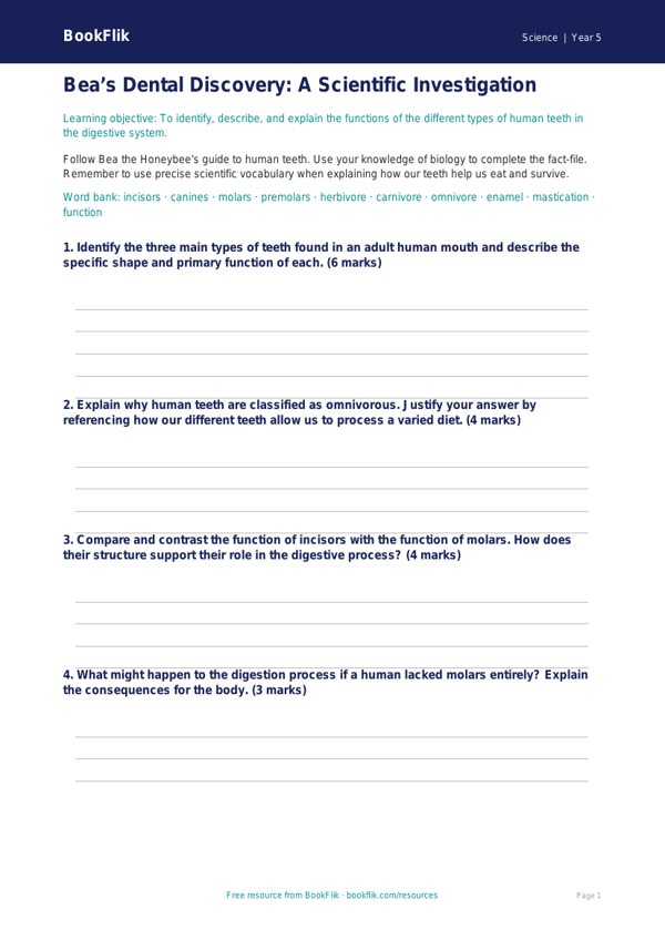 Free Teeth Template | Year 5 Greater Depth | BookFlik worksheet preview — Science Teeth