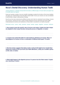Free Teeth Worksheet | Year 5 Greater Depth | BookFlik