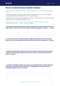 Free Teeth Writing Frame | Year 5 Greater Depth | BookFlik
