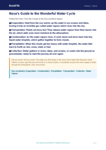 Free Water Cycle Poster | Year 6 Core | BookFlik