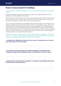 Free Greetings Comprehension | Year 5 Greater Depth | BookFlik