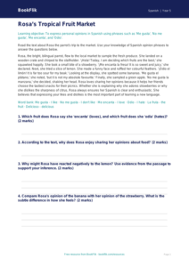 Free Opinion Phrases Comprehension | Year 5 Greater Depth | BookFlik